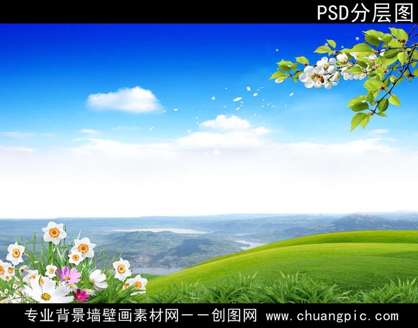 FJCD_003
