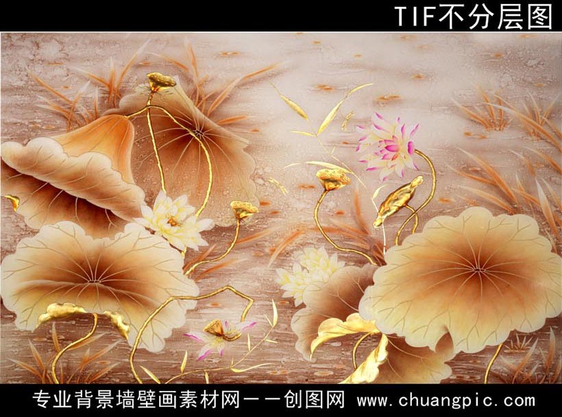 HHY_011