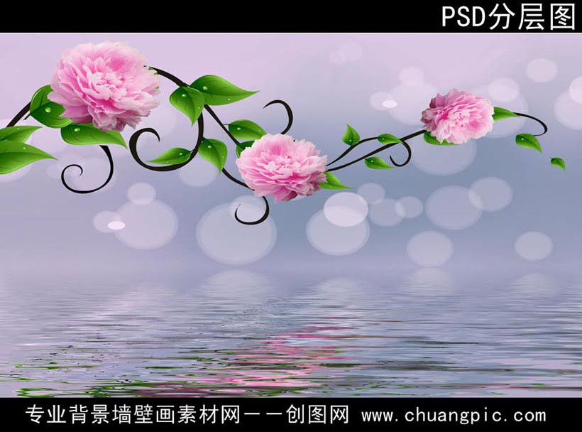 MDZ_005