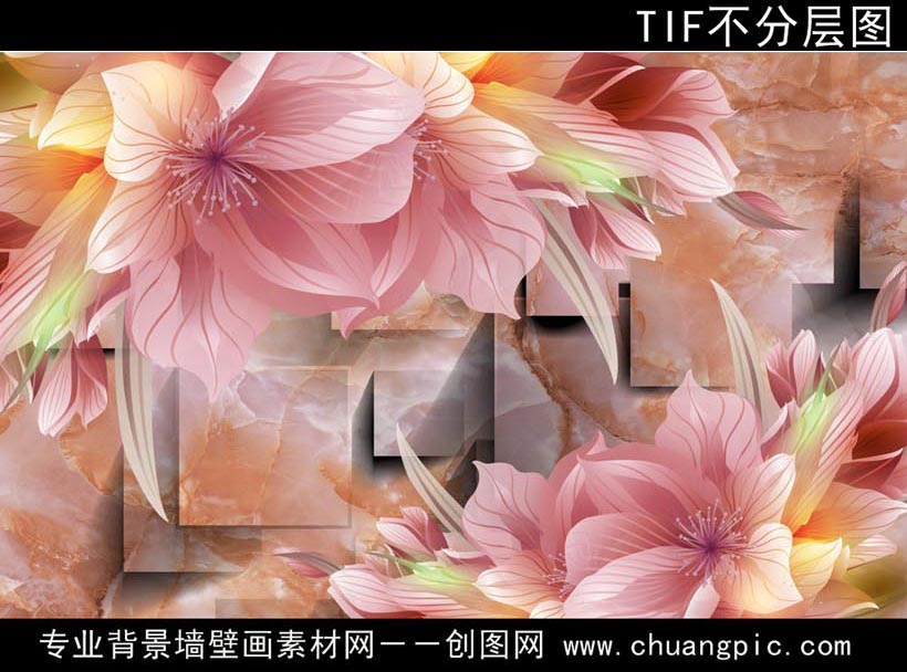 MHHA_012