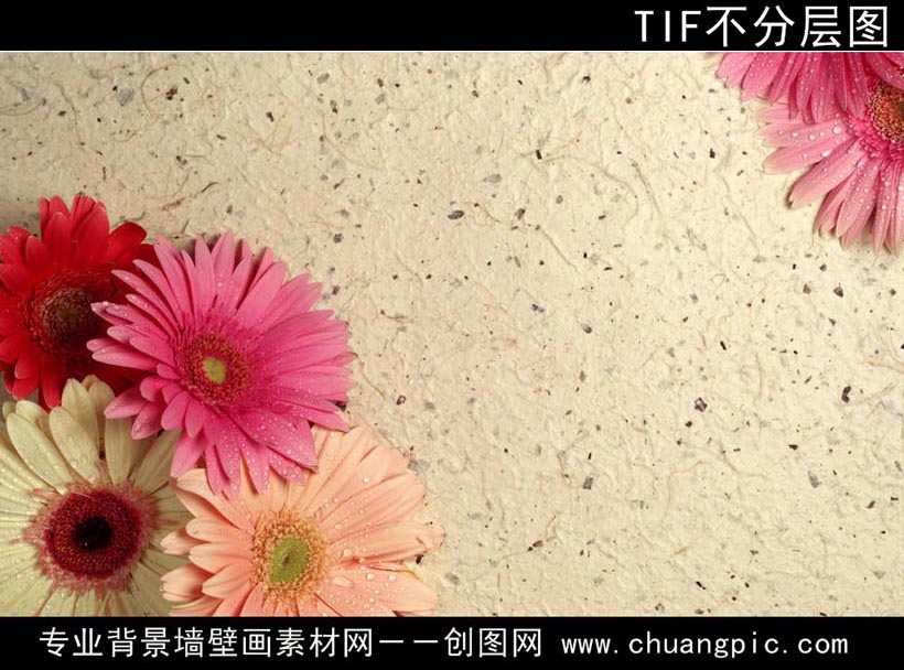 MHHL_007