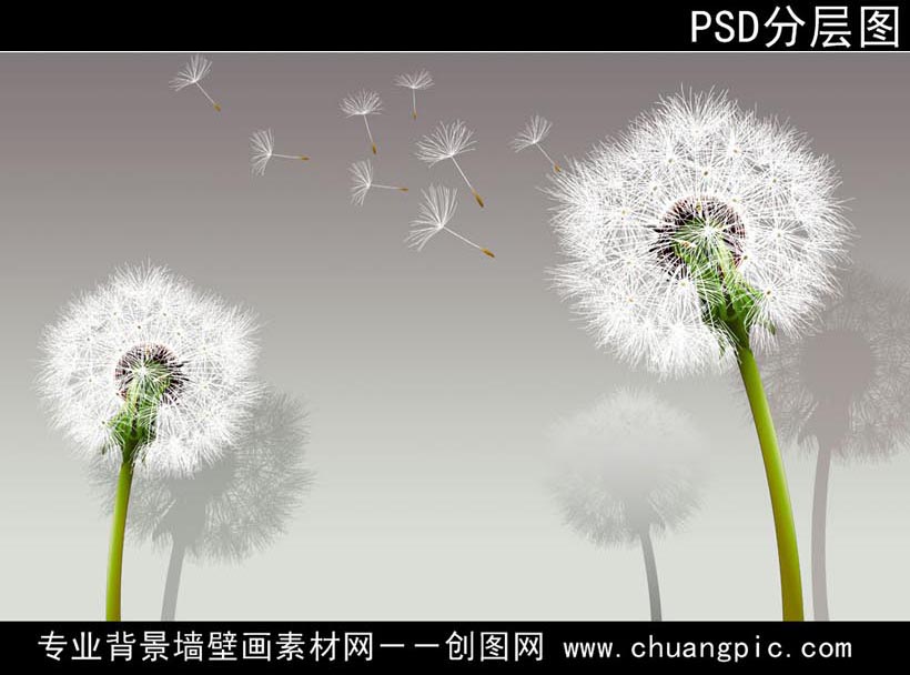 PGYJ_001