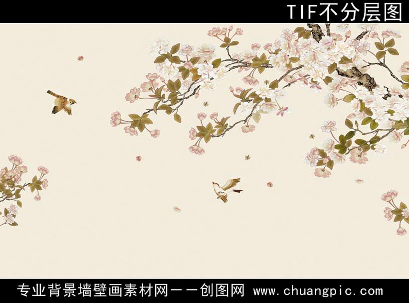 THI_005