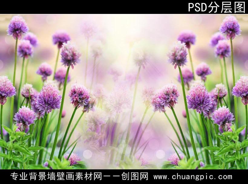XHA_001