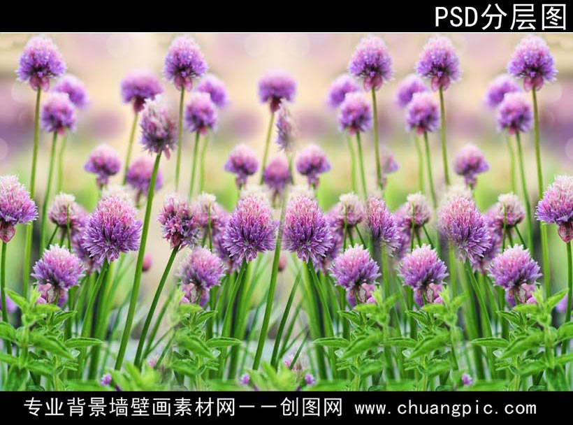 XHA_002