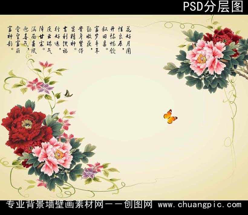 82060396
