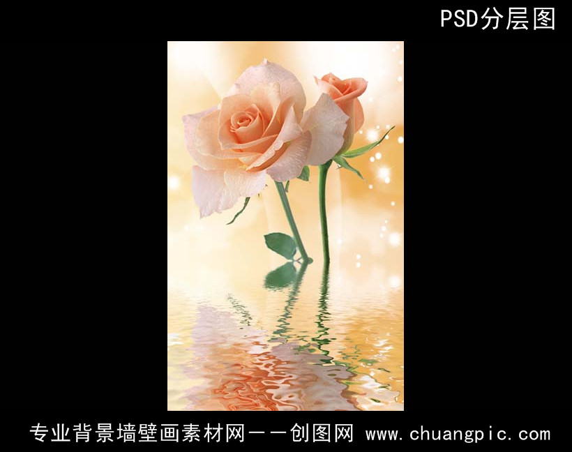 12060440