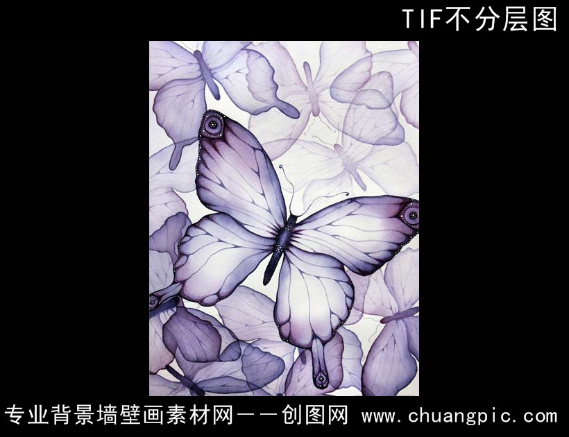 12060921