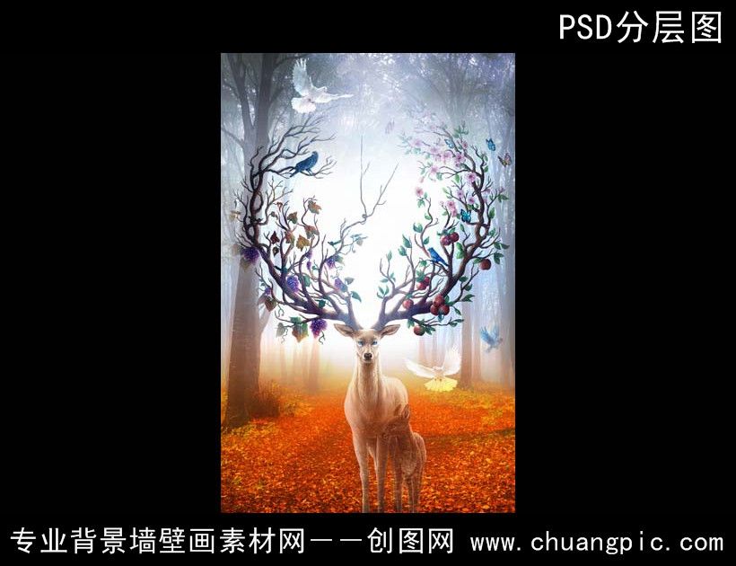 12061501